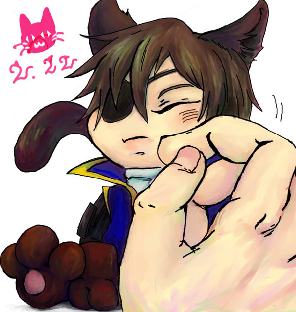 にゃんこの日