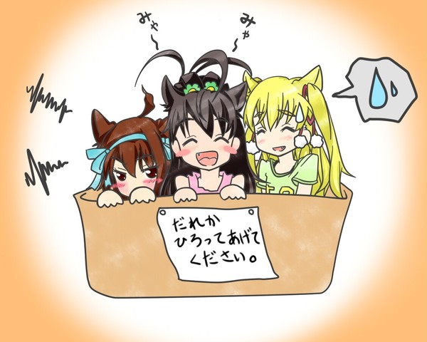だれか、ひろってあげてください。
