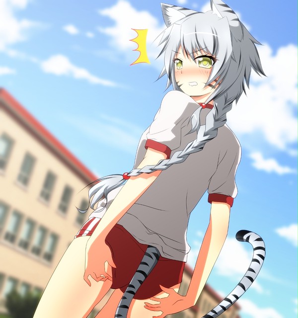 猫耳ぶるまー