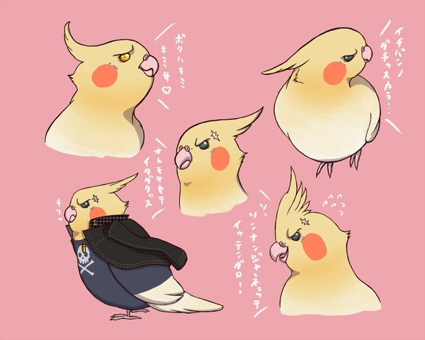 完二くんマジオカメインコ