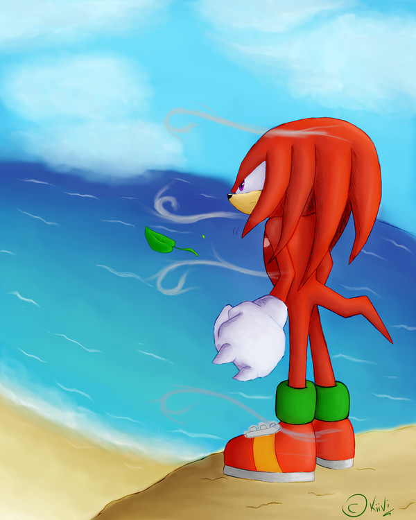 Knuckles At The Beach