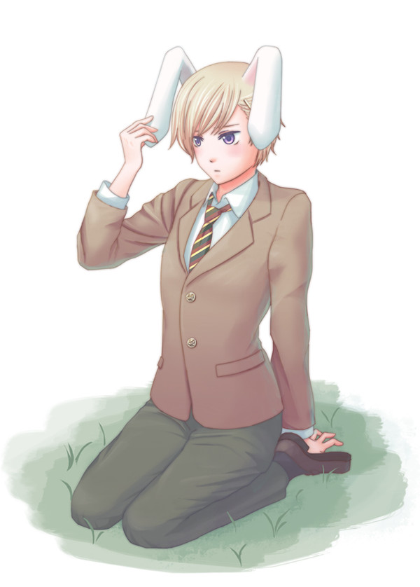 うさみみのるたん