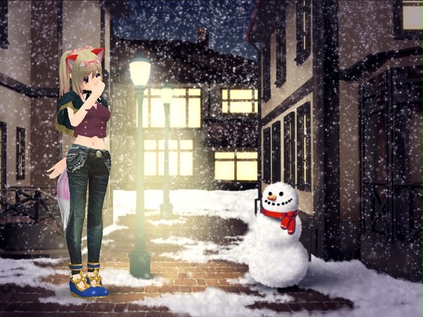 ２月の雪