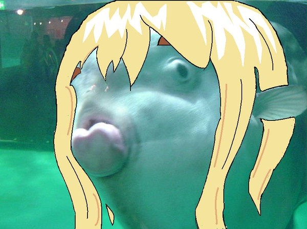 マンボ・・・むぎちゃん