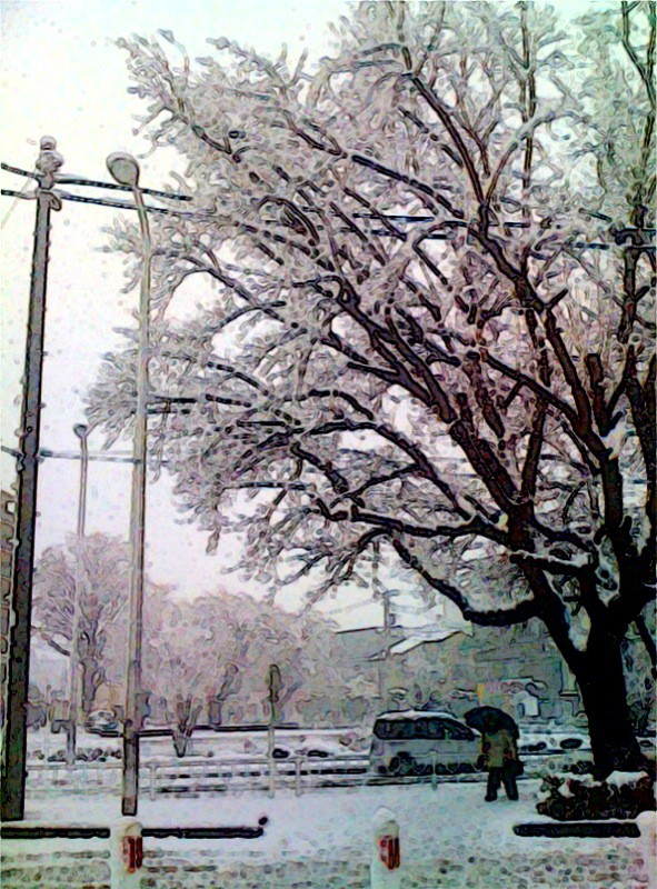 春の雪