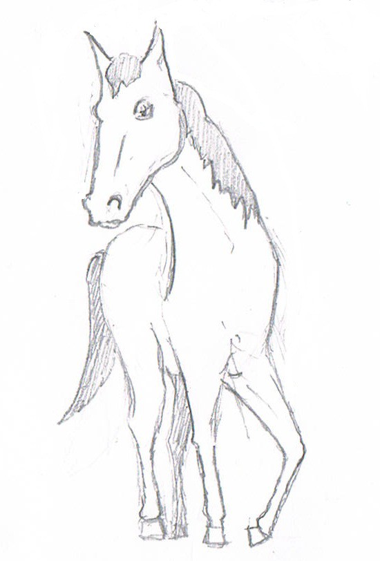 馬