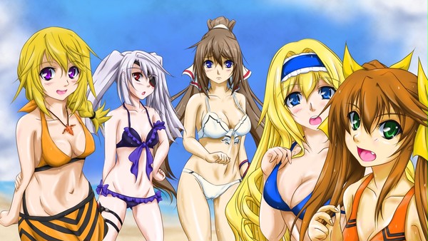 ＩＳ　シャル、ラウラ、箒、セシリア、２組だから居ない人の水着２