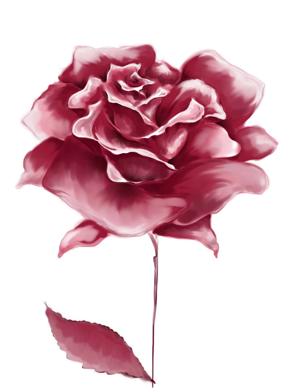 薔薇