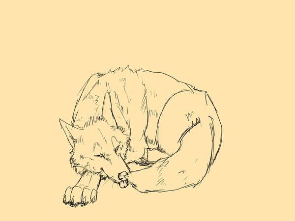 睡眠中