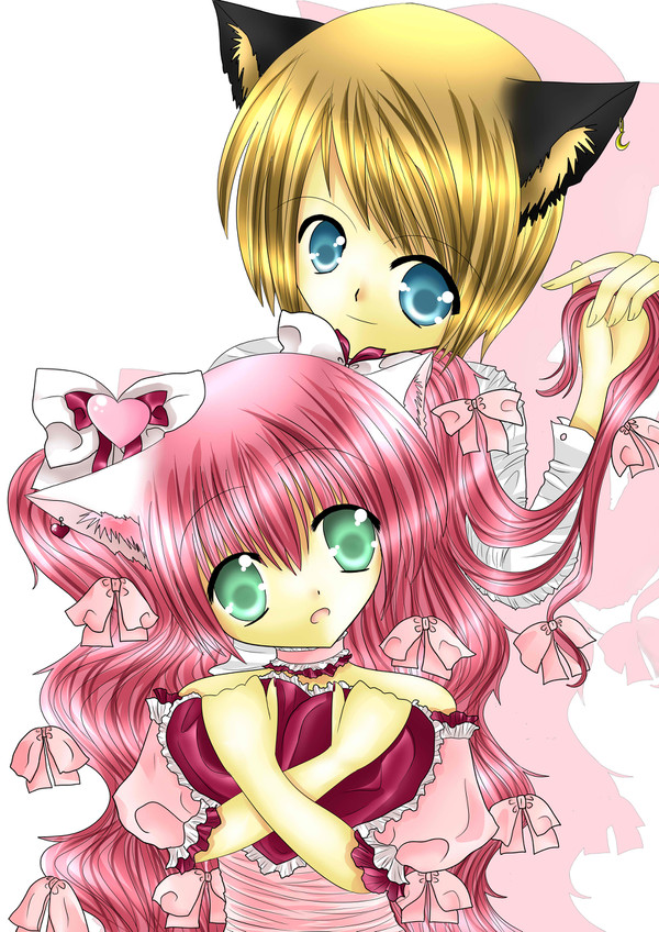 Valentine kitty