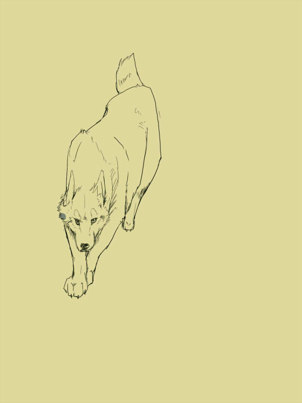 落書き