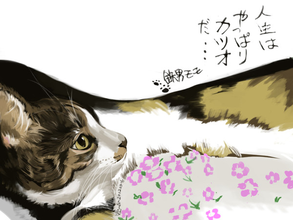 鉄男もも