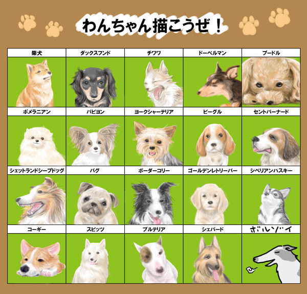 わんわんこ