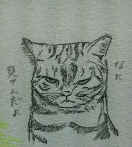 顔面凶器