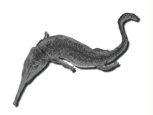 Prionosuchus