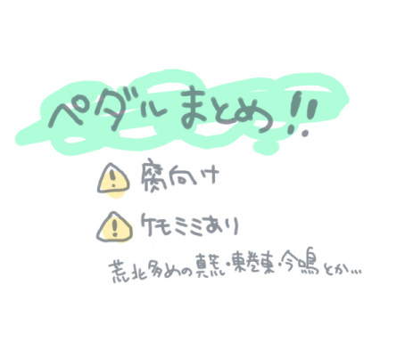 ペダルまとめ！