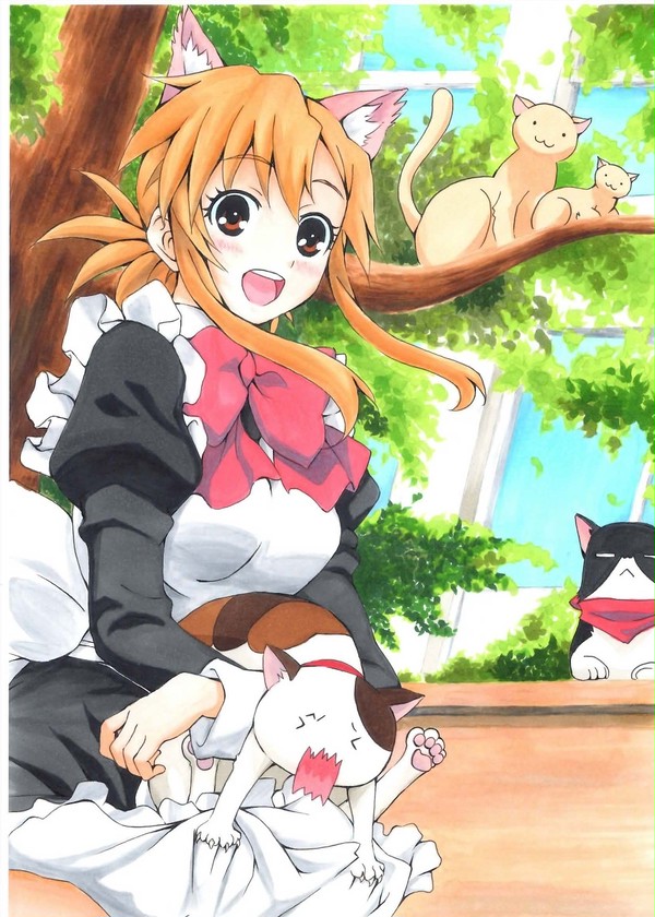 にゃんこい！
