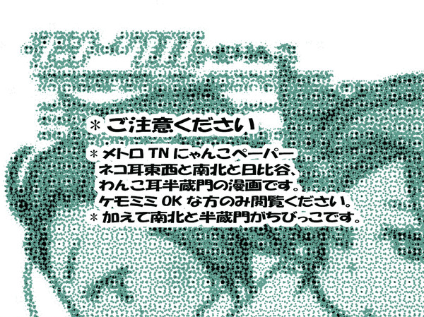 TNにゃんこペーパー