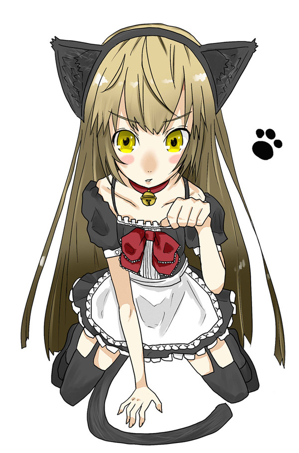 ねこみみめいど