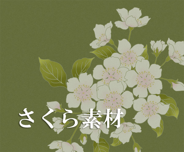 さくら素材
