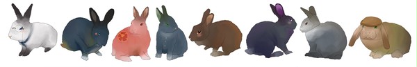 宮ノ杜うさぎと情報屋うさぎ