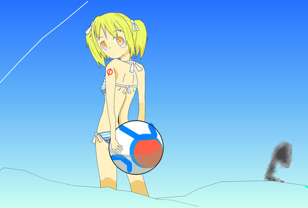 南の海での調査（？）