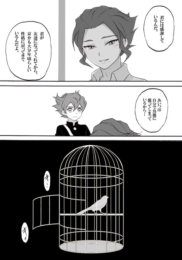 トリカゴ