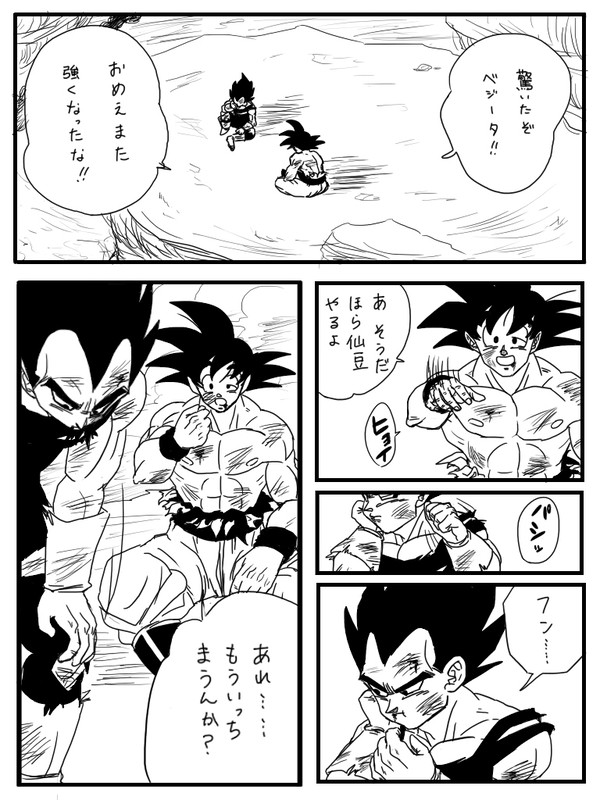 【腐向け】告白的な【カカベジ】