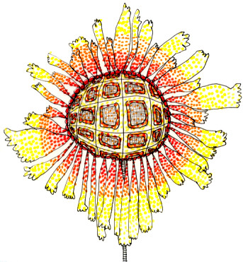 花