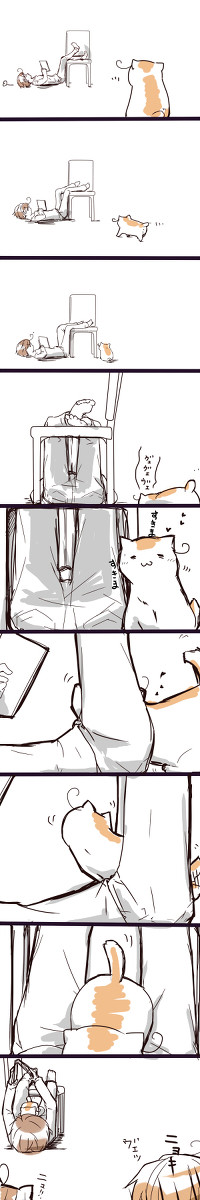 にゃんにゃんにゃん