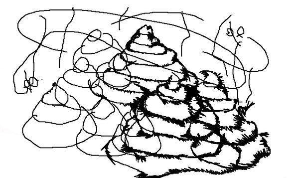 大量のうんこ