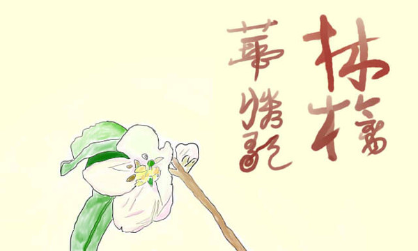 一輪の林檎の花　【歌ってみた】林檎華憐歌【えりにゃん】で使用