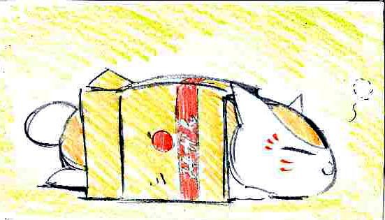 箱にゃんこ