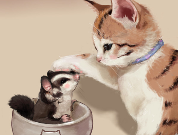 猫とムササビ