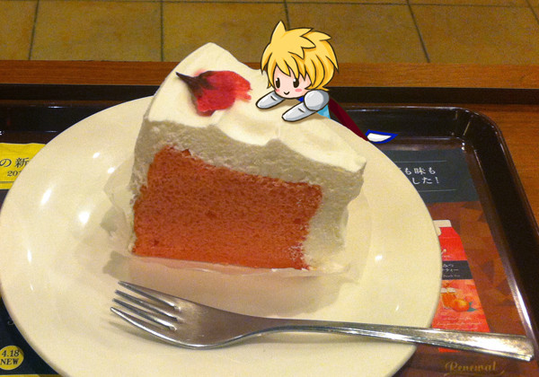 シーフォの日！