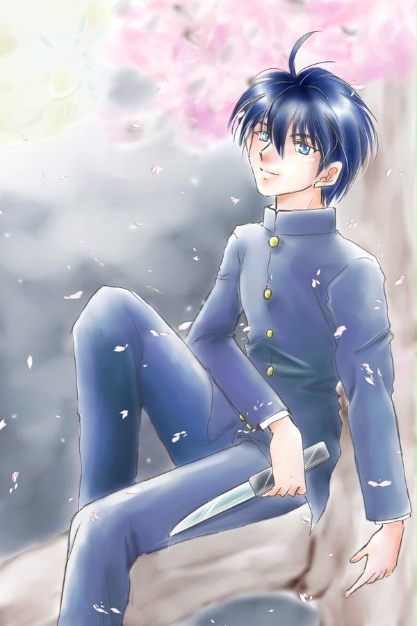 【型月】桜華夜月
