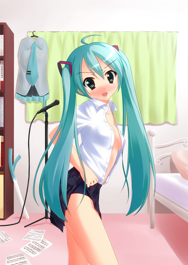 初音ミクの一日