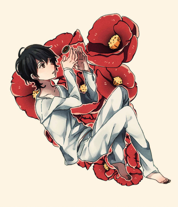 ひなげし