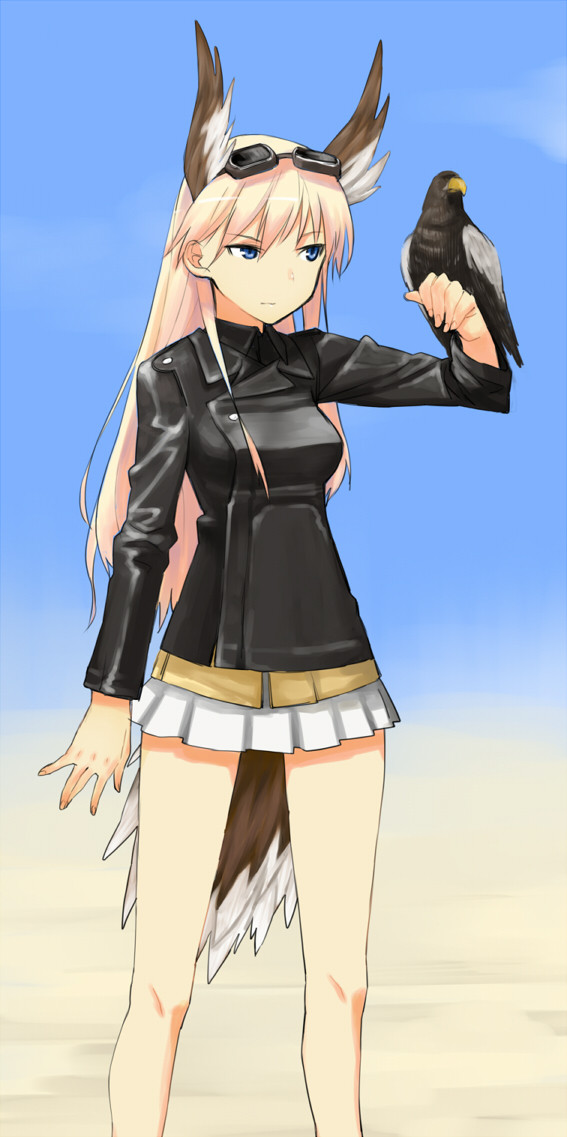 アフリカの星