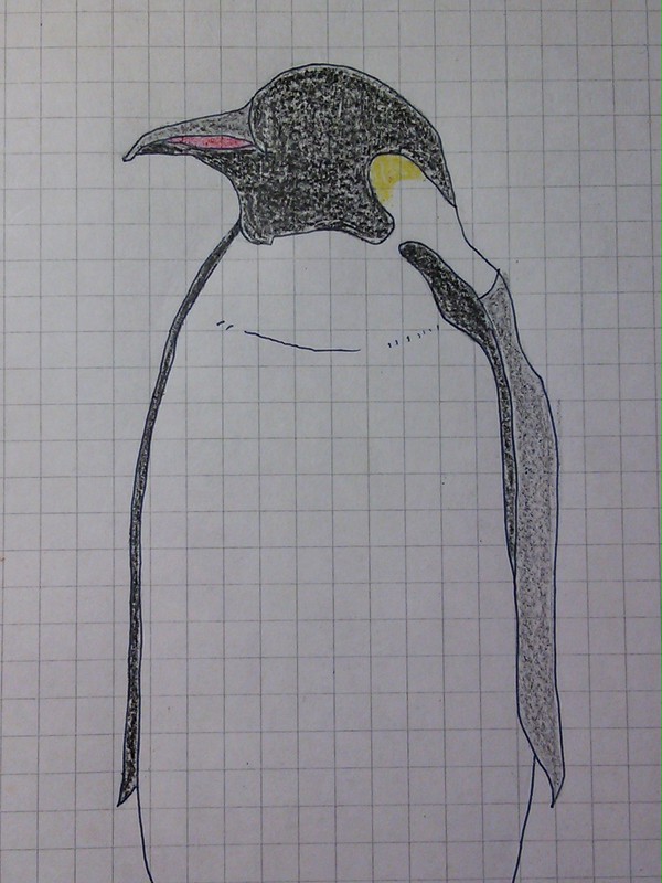 ペンギンさん
