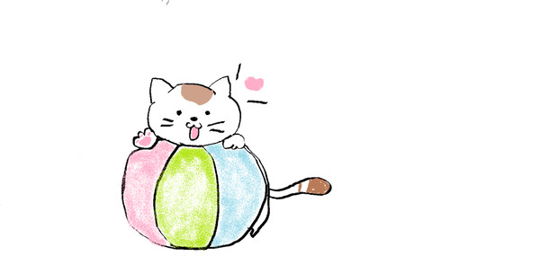 ねこの日常