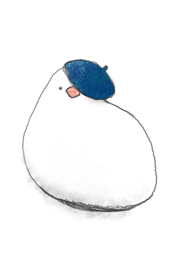 鳥ポストカードまとめ