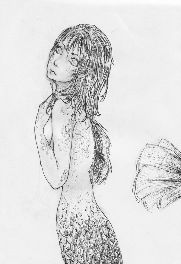 The Mermaid