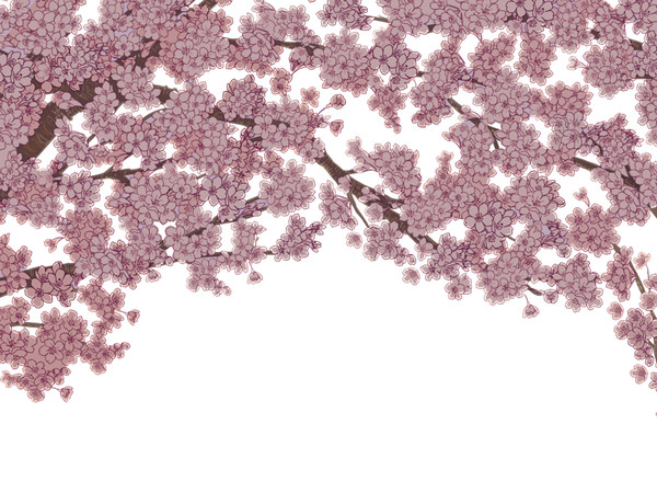 桜ブラシのもと