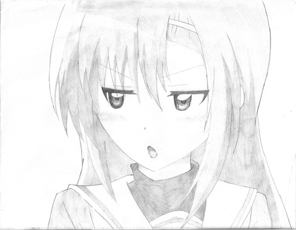 桂ヒナギク