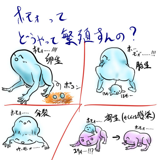 どうやって繁殖すんの？