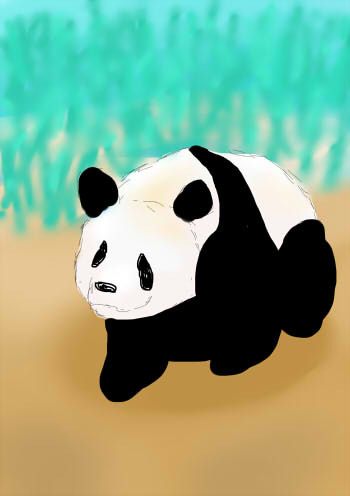 ぱんだ