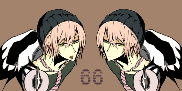 66
