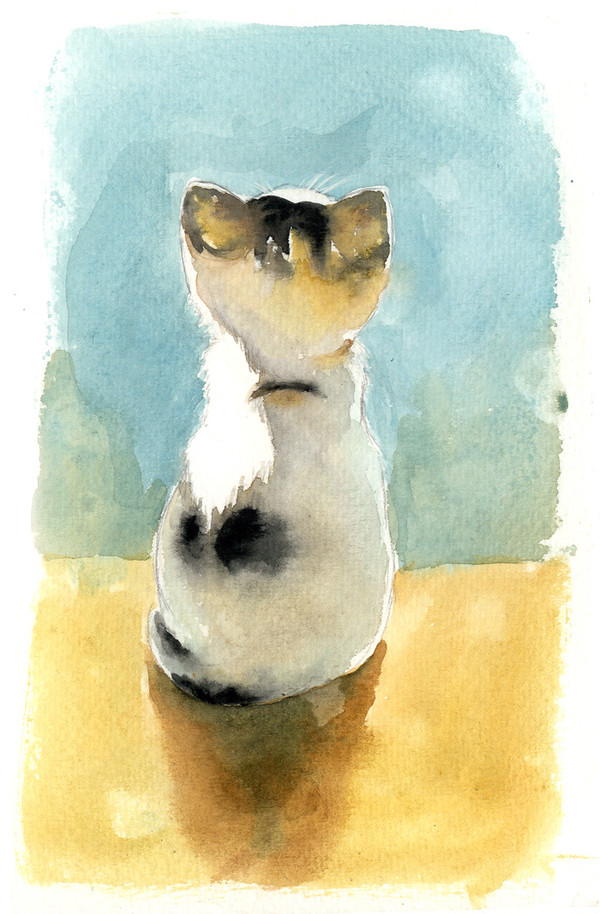 [ cat ] 小猫背影
