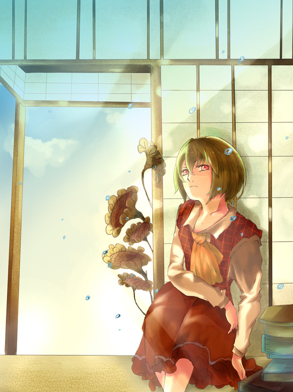 ひかり
